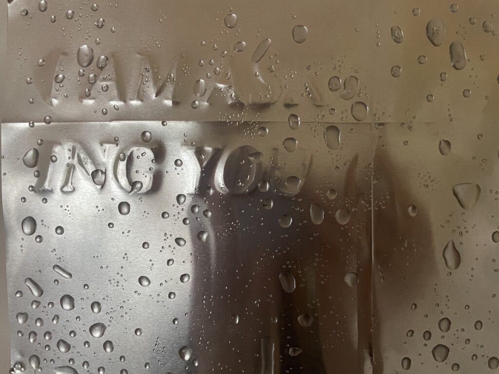 Celeste MacLeod-Brown, I am Asking You (2025)