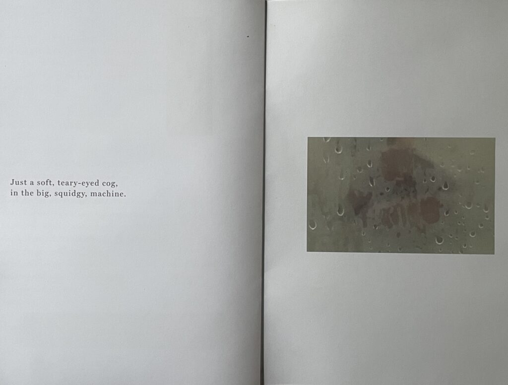 Celeste MacLeod-Brown, 'Soft-Touch' (2025), publication extract