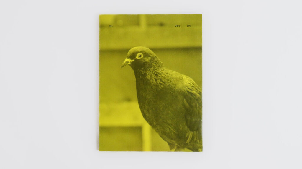 Yellow book cover with a close-up photograph of a dark-feathered pigeon looking toward the camera.